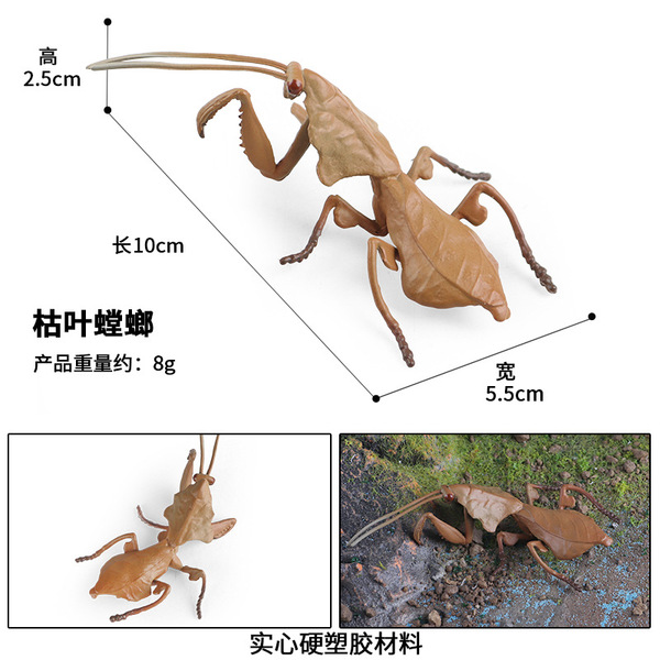 Children's simulation insect toy animal model Bee Spider Dragonfly butterfly centipede grasshopper Ant mantis ornaments