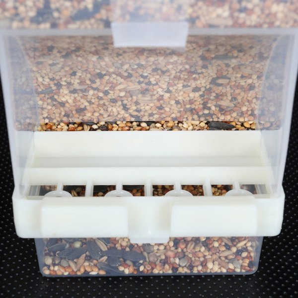 Premium Automatic Bird Feeder Holds up to 425g